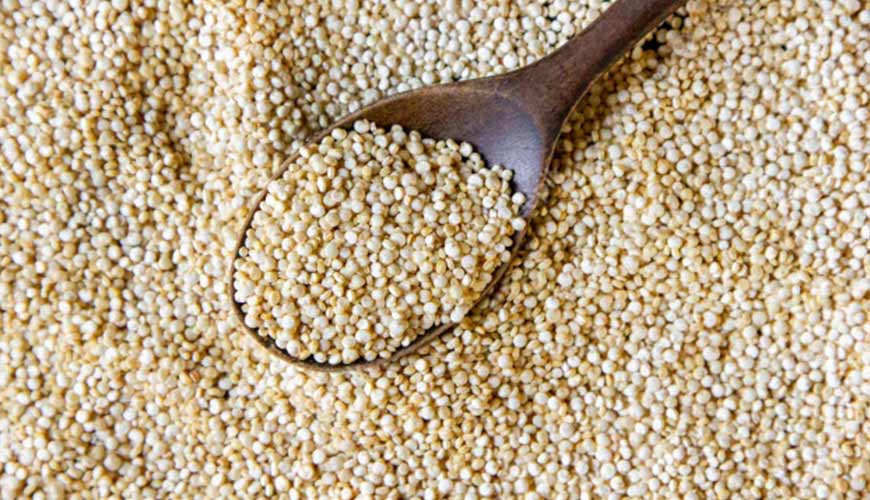 Os benefícios da quinoa: alimento de alto valor nutricional - ABM - Sua  saúde em primeiro Lugar